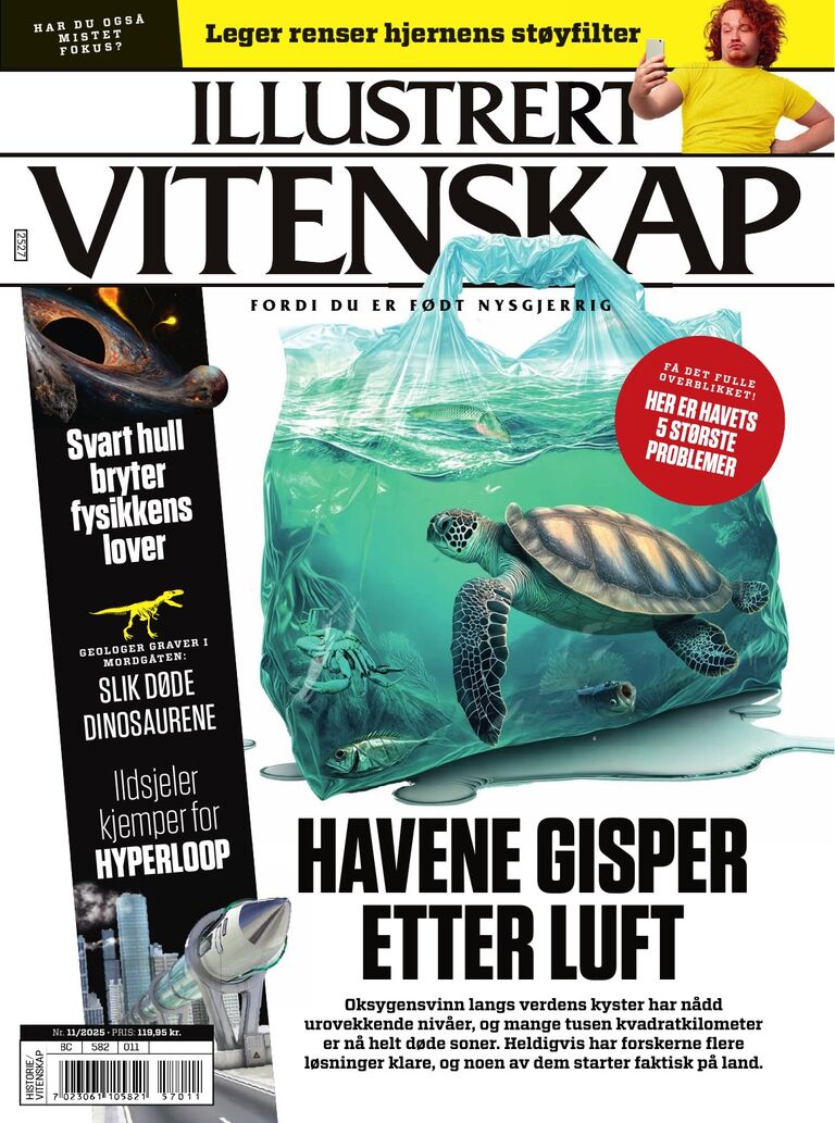 Illustrert Vitenskap