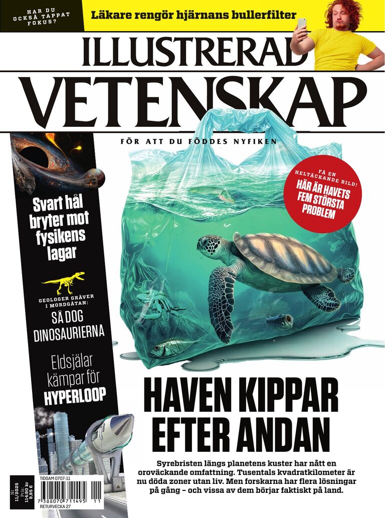 Illustrerad Vetenskap